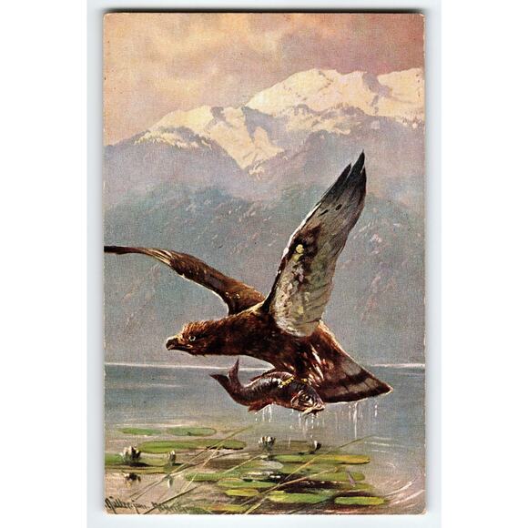 Signed Muller Artist Card Eagle with Fish Vintage Postcard 5.5x3.5 - Picture 1 of 2